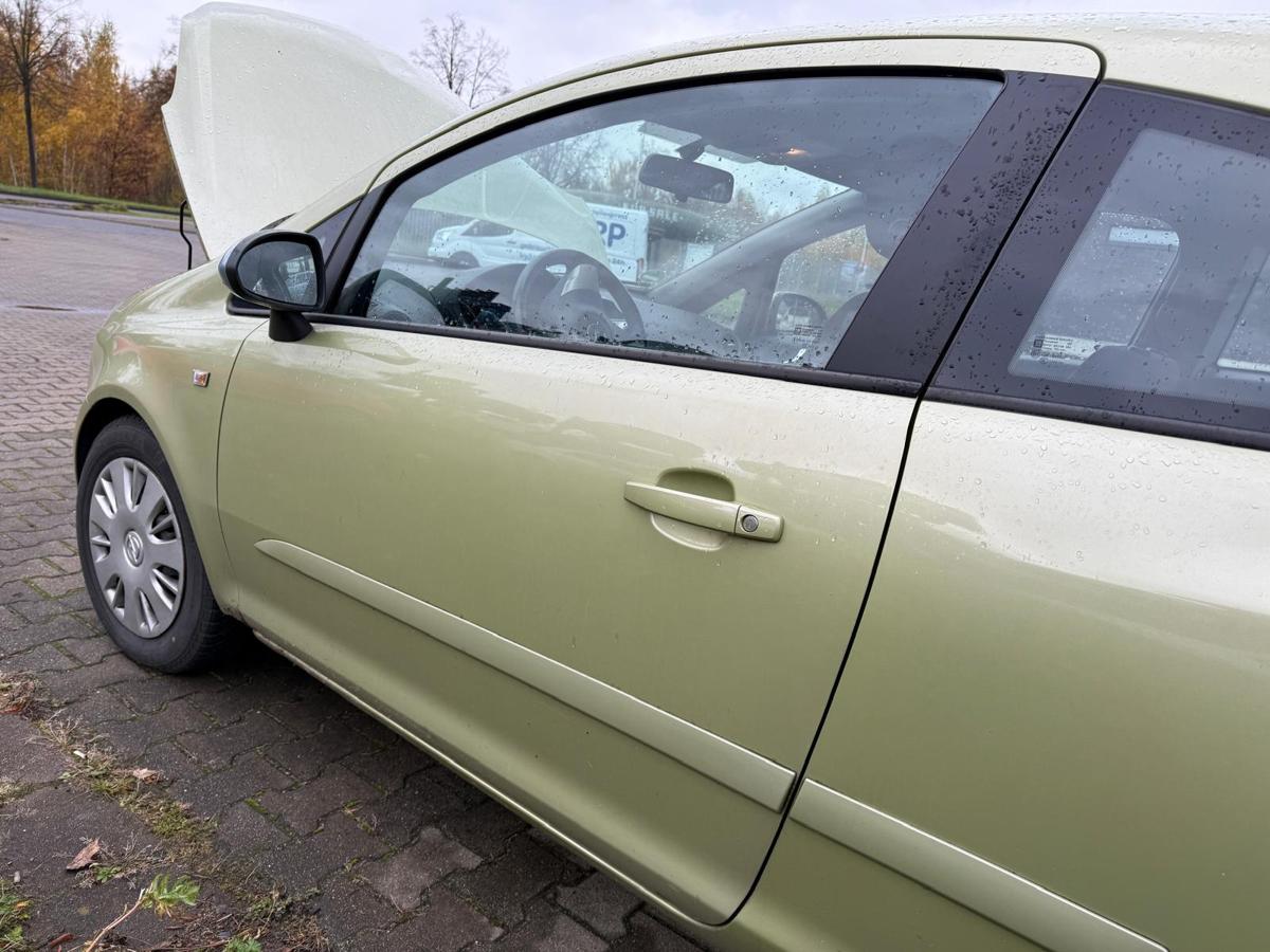Opel Corsa D original Tür vorn links Z30E Green Tea 3 Türer Rohbau BJ06